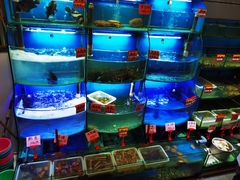 水产区-蔚海之都·象山蒸汽海鲜(仙霞路店)
