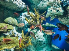 -福州罗源湾海洋世界旅游区