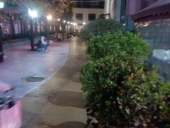 -陕西省小天鹅艺术团