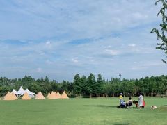 -上海长兴岛郊野公园