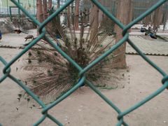 -南京金牛湖风景区