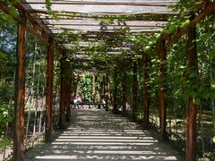 -黑龙江省森林植物园