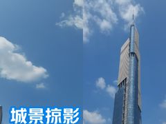 -紫峰大厦