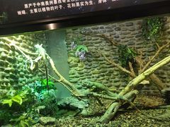 -呀路古热带植物园