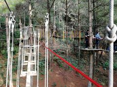 -梦幻奥陶纪景区