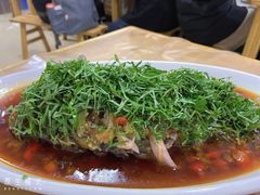 -老字号怡玺·藿香雅鱼(20年雅安店)