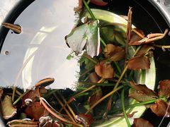 -Metal hands·铁手咖啡