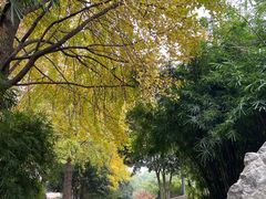 -羊坝头新鲜牛羊肉(中山中路店)