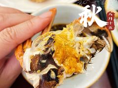 -宾湖农庄·农场特色(太湖龙之梦店)