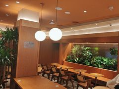 -奈雪的茶(大梅沙8号仓店)