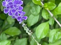 -广州神农草堂中医药博物馆