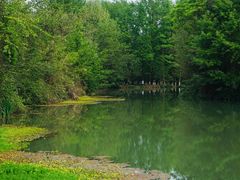 -桤木河湿地公园