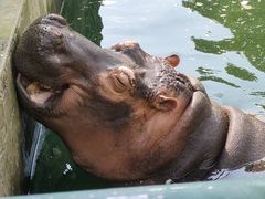 -宿豫区运河湾森林动物园