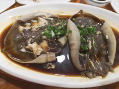 -食海部落
