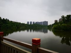 -东岳体育公园