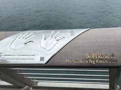 -星光大道