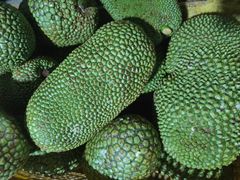 -新鸿港水果市场(三亚新鸿港国际商品交易中心店)