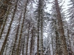 -硗碛藏寨·神木垒景区