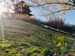 -古柏渡飞黄旅游区