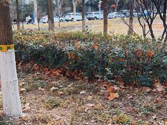 -河南工业大学(莲花街校区)
