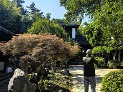 -秋霞圃