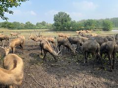 -溱湖国家湿地公园