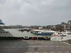 -微山湖红荷湿地景区
