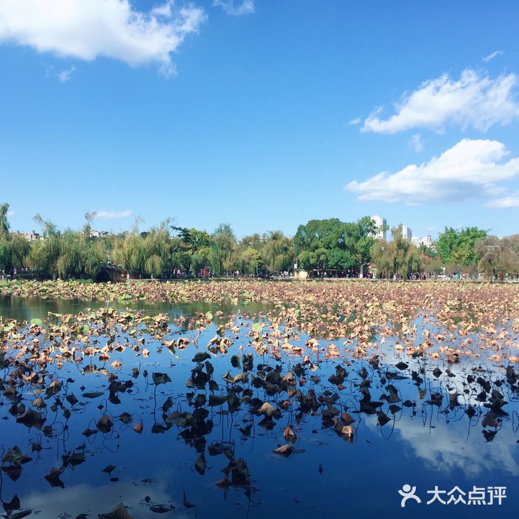 昆明游之翠湖公园+钱王街