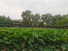 -房湖公园