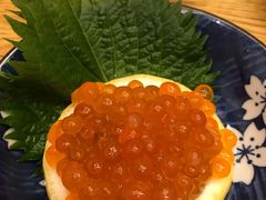 -乐亭日本料理(彩虹本店)