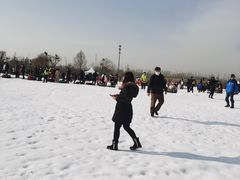 -绿野森林乐园冰雪季