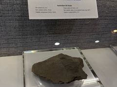 -抚顺煤矿博物馆