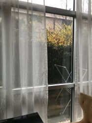 点击看大图 -馨月汇·一悦馨香月子中心(前滩店)