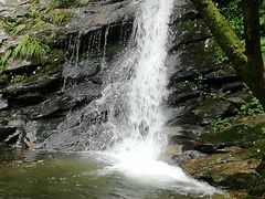 -燕子河大峡谷天坑仙境