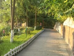 -重庆彩云湖湿地公园
