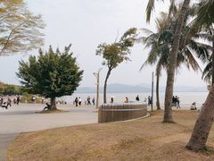 -深圳湾公园(南山区)
