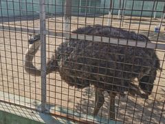 -如皋市龙游湖欢乐世界