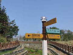 -光明小镇欢乐田园