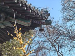 -潭柘寺景区