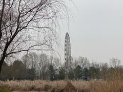 -洋湖国家湿地公园