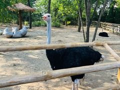 -大连森林动物园