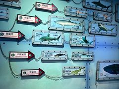 -海合安武汉极地海洋公园