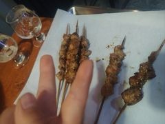 -京狮炙燥·精酿烧烤(首经贸店)