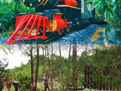 -九龙江国家森林公园