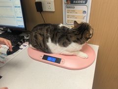 -瑞派康怡24h宠物医院·犬猫医疗中心·微创绝育(瑞景分院)