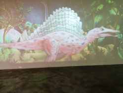 -恐龙探索乐园(磁器口店)