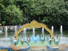 -西双版纳原始森林公园