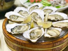 -九道菜有鸡鱼头(石鼓路店)