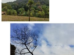 -云溪植物园
