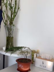 -瑶芳清颜草本祛痘